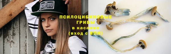 прущие крисы Майский