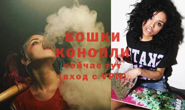 дмт Дубна