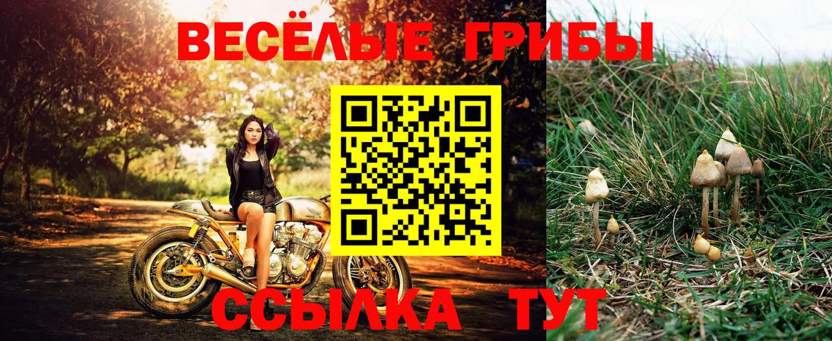 Людиново  Псилоцибиновые грибы мицелий  Вход с VPN  Галлюциногенные грибы Magic Shrooms 
